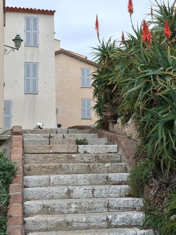 Cap Antibes Les Bosquetsヴィラ エクステリア 写真