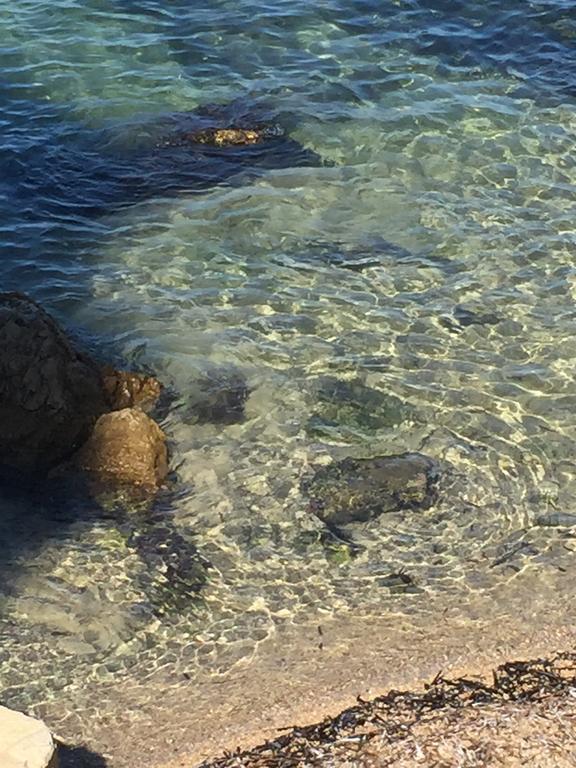 Cap Antibes Les Bosquetsヴィラ エクステリア 写真